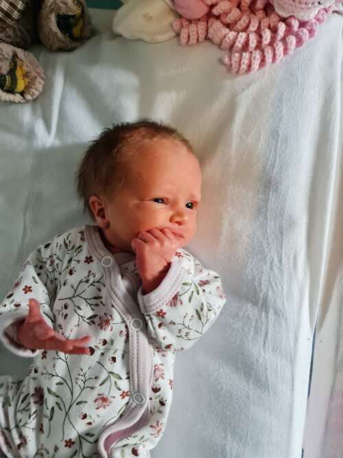 1.5lb-3lb baby girls