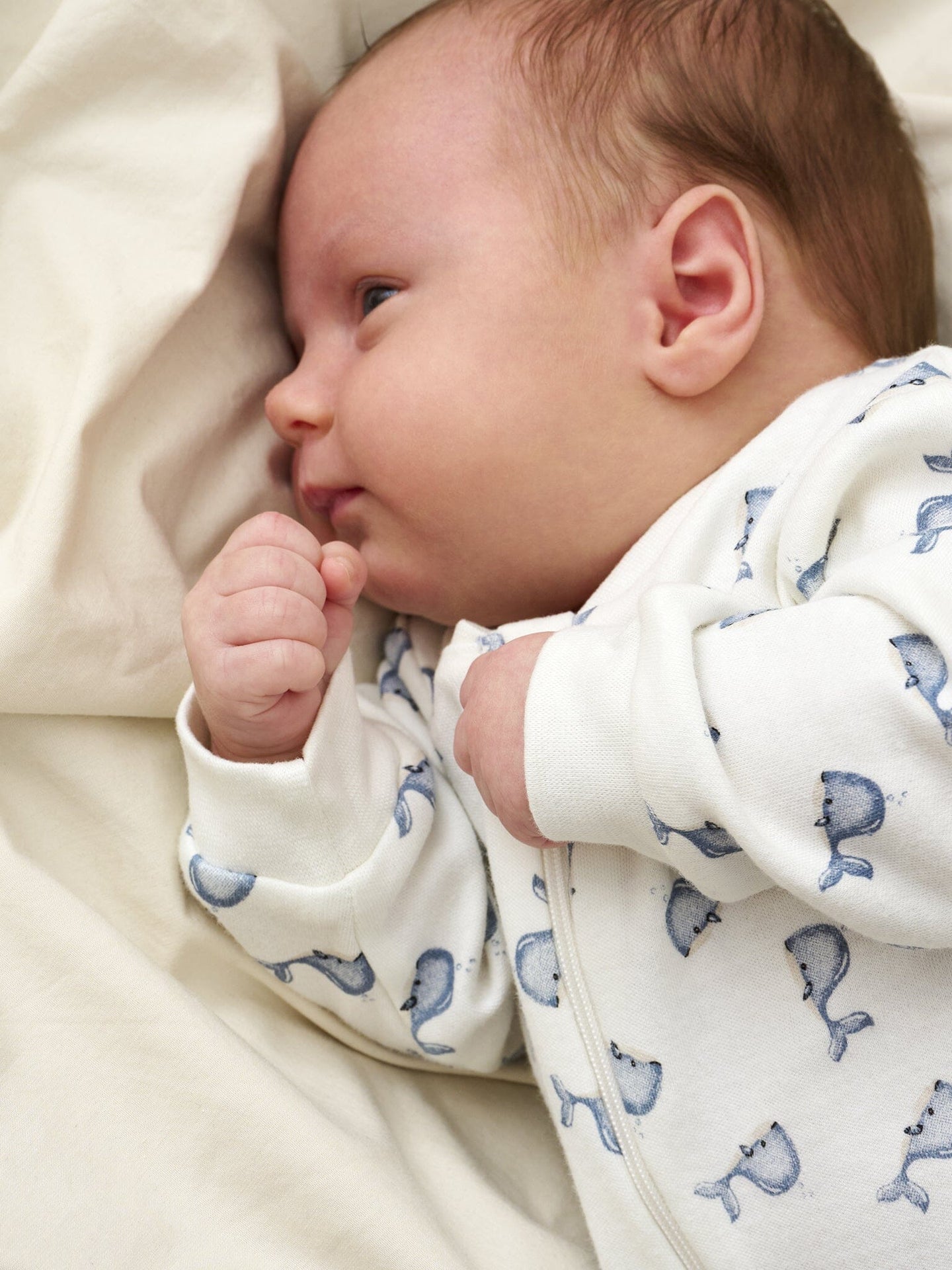 Pack of 2 Pippi Sleepsuits - Bears and Whales Sleepsuit / Babygrow Pippi