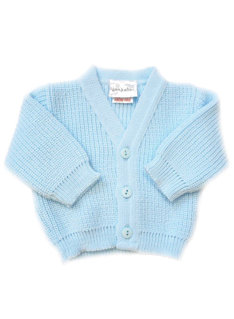 Blue Cardigan Cardigan / Jacket Dandelion