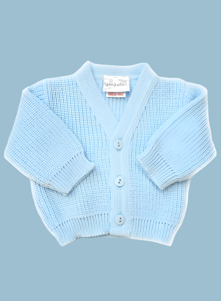 Blue Cardigan Cardigan / Jacket Dandelion
