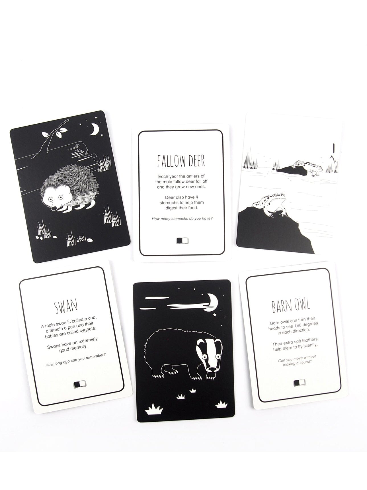 High Contrast Baby Flash Cards - Animals of Great Britain Book The Little Black & White Book Project