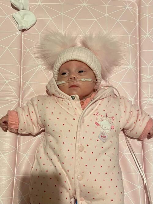 Pink Snowsuit, Bear Ears on Hood Snowsuit / Pramsuit Dandelion