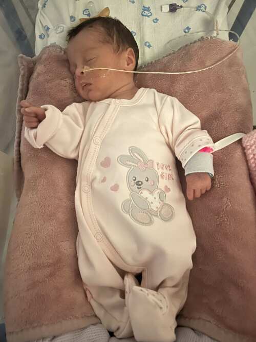 Early Baby Babygrow, Embroidered Bunny Design - Pink Sleepsuit / Babygrow EEVI