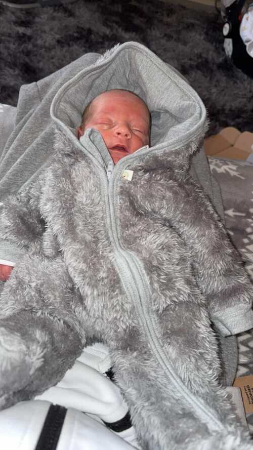 Grey Bear Fluffy Tiny Baby Pramsuit Snowsuit / Pramsuit Little Lumps