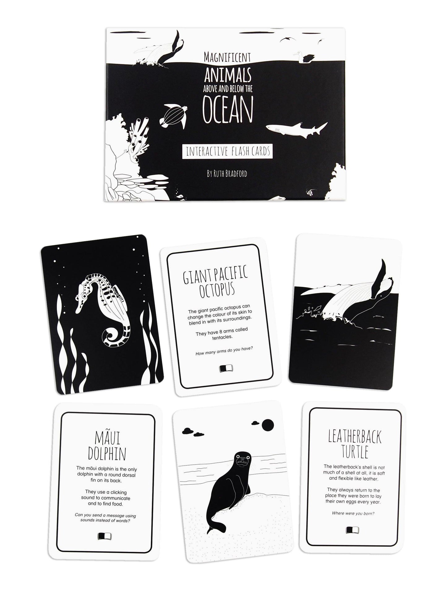 High Contrast Baby Flash Cards - Ocean Animals Book The Little Black & White Book Project