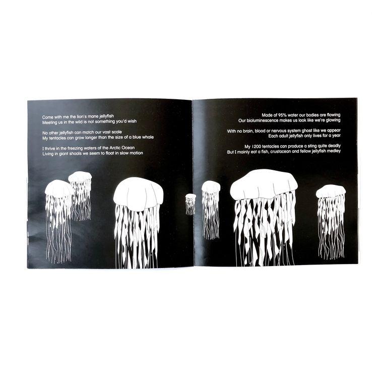 Come Dive With Me storybook Book The Little Black & White Book Project