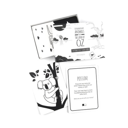 High Contrast Interactive Flash Card Set - Extraordinary Animals from Australia Book The Little Black & White Book Project 