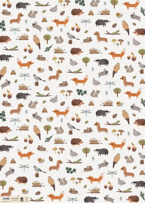 Gift Wrap Cards & Gift Wrap Little Mouse Baby Clothing & Gifts Woodland 