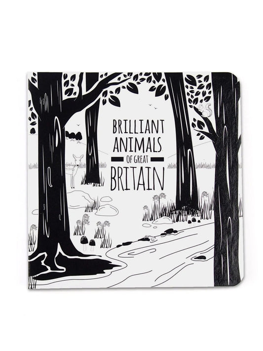 High Contrast Baby Book - British Animals Book The Little Black & White Book Project 