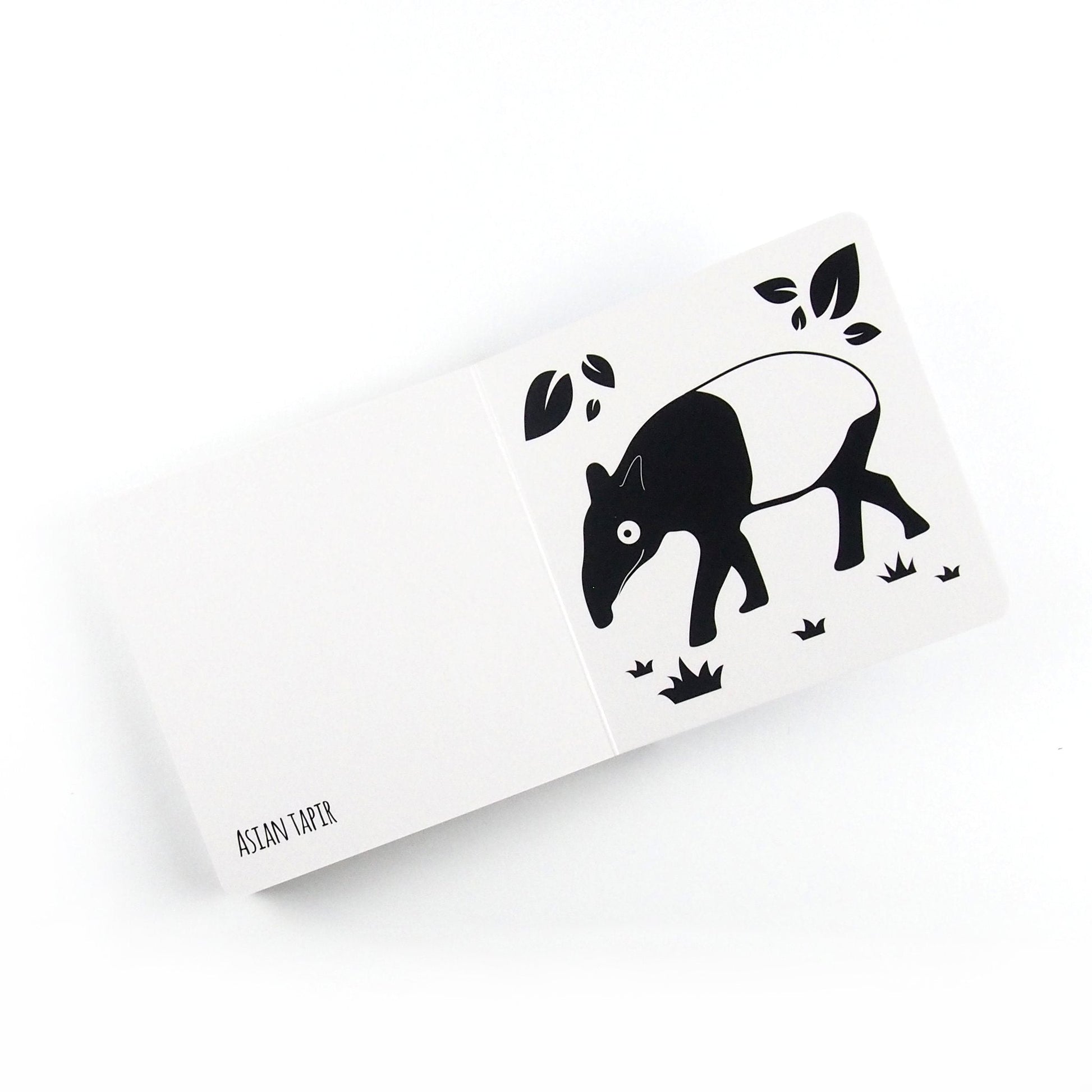 High Contrast Baby Book - Southeast Asian Animals Book The Little Black & White Book Project 