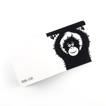 High Contrast Baby Book - Southeast Asian Animals Book The Little Black & White Book Project 