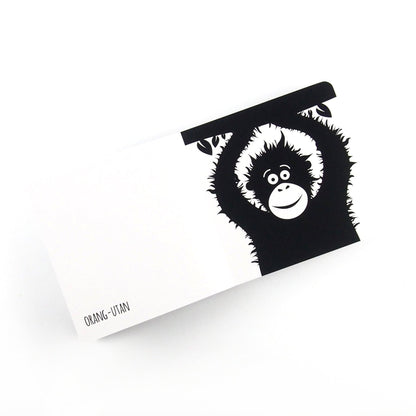 High Contrast Baby Book - Southeast Asian Animals Book The Little Black & White Book Project 