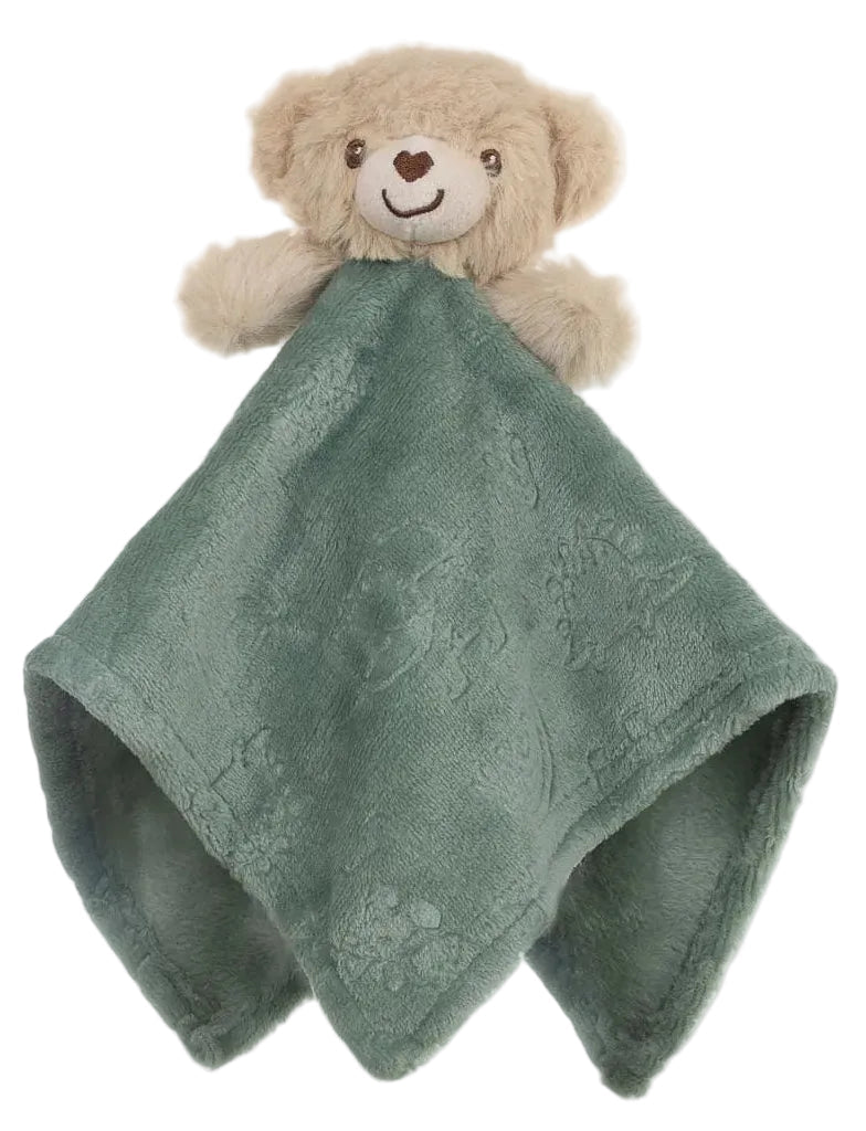 Dinosaur Embossed Teddy Bear Comforter Soft Touch