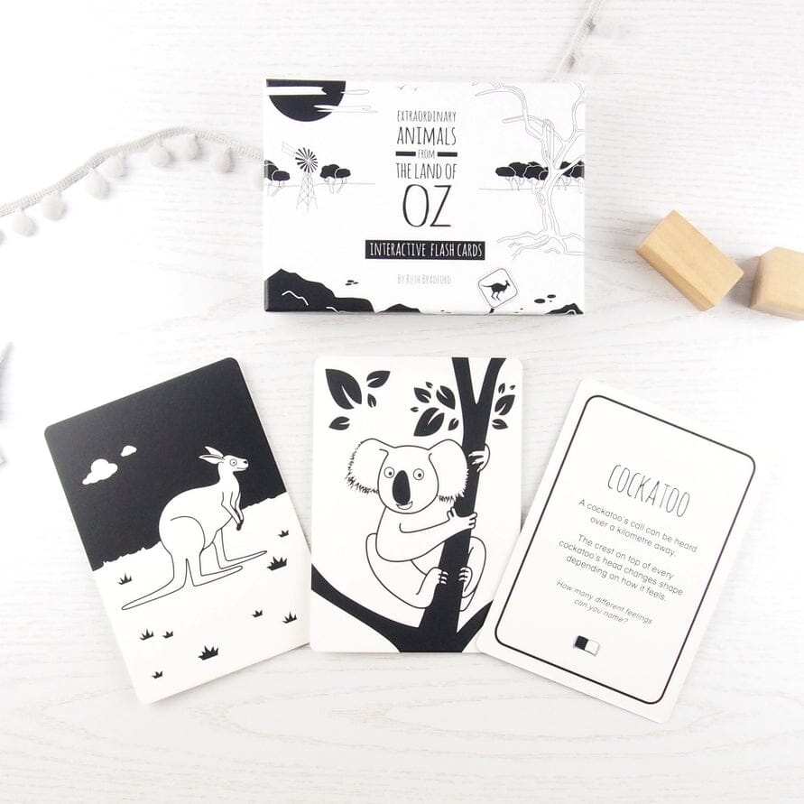 High Contrast Interactive Flash Card Set - Extraordinary Animals from Australia Book The Little Black & White Book Project 