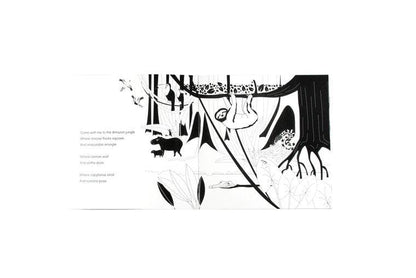High Contrast Baby Book - Come Explore With Me Book The Little Black & White Book Project 