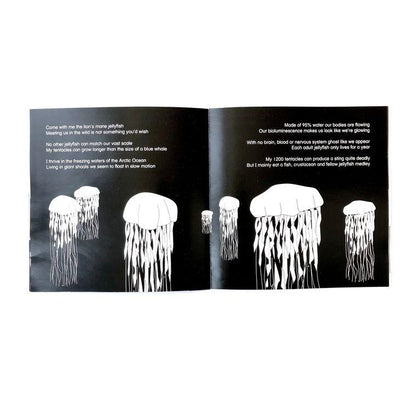 Come Dive With Me storybook Book The Little Black & White Book Project 