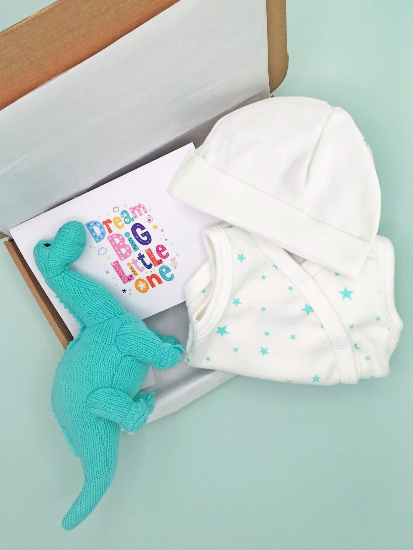Mint Green Baby Dinosaur Gift Box - Incubator Vest, Hat, Dinosaur Teddy & Optional Card Gift Set Little Mouse Baby Clothing & Gifts 