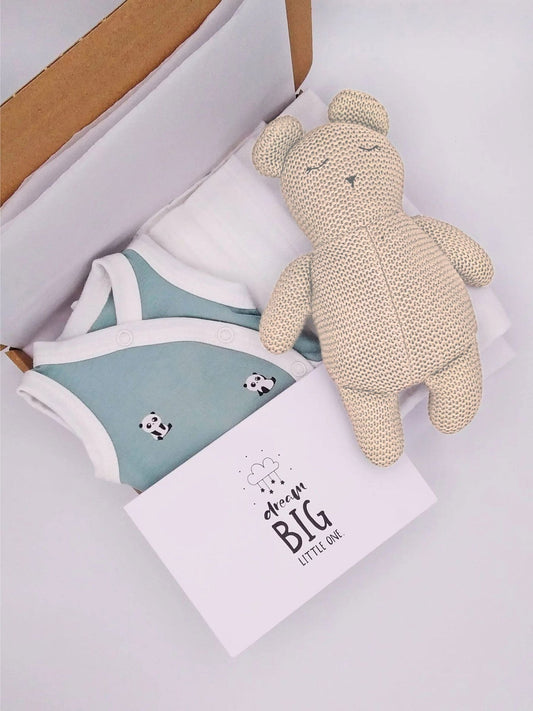 Cute Panda Gift Box - Incubator Vest, Toy, Muslin & Optional Card Gift Set Little Mouse Baby Clothing & Gifts 